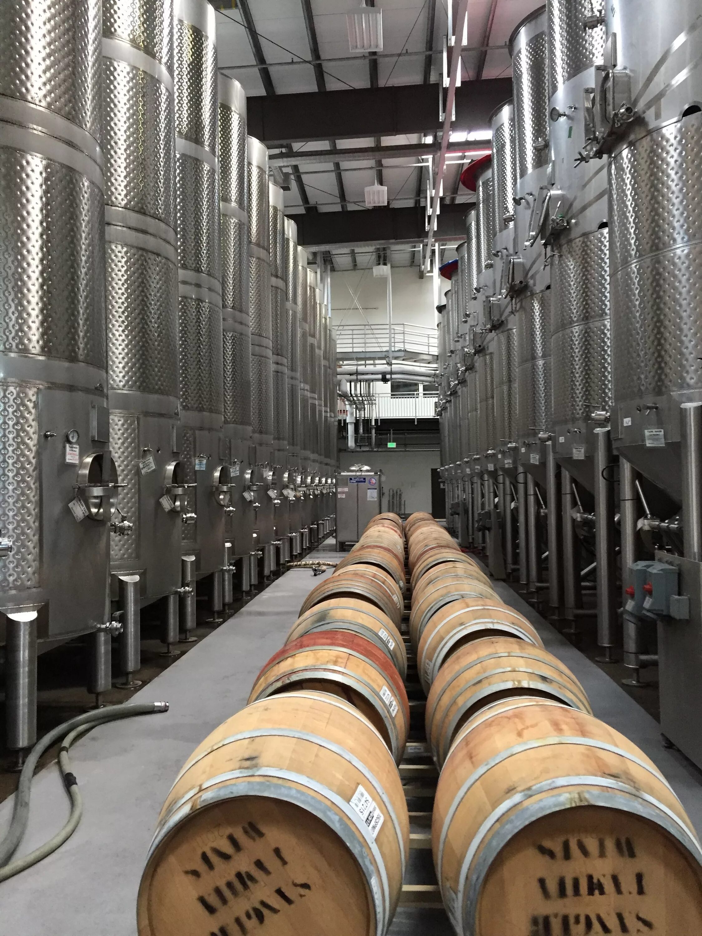 Wine processing