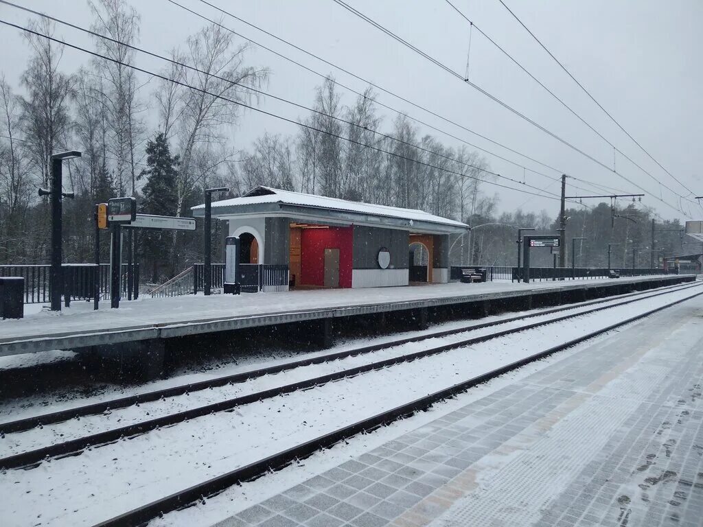Станция опалиха аникеевка. Эстакада аникеевка. Путепровод опалиха красногорск. Аникеевка московская область. Москва - аникеевка станции.