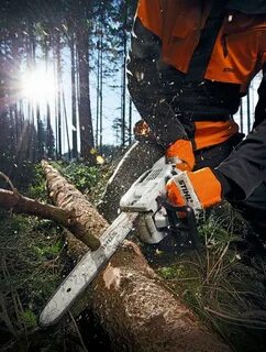 Какое количество деревьев спиливают в джунглях