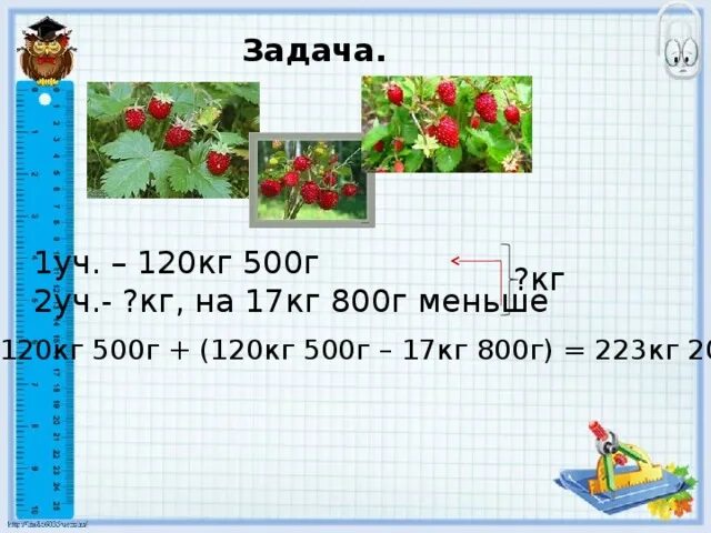 60 кг 500 г. 120кг 500г -17кг 800г. 120 Кг клубники. 800 Кг. 500 Кг клубники.