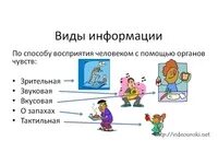 Какими фактами можно проиллюстрировать