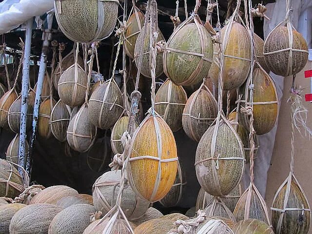 Дыня ферганская. Дыни для зимнего хранения. Дыня в коробках. Дыня как хранить. Дыня узбекистан.