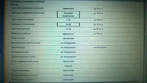 Стафилококк у женщин причины