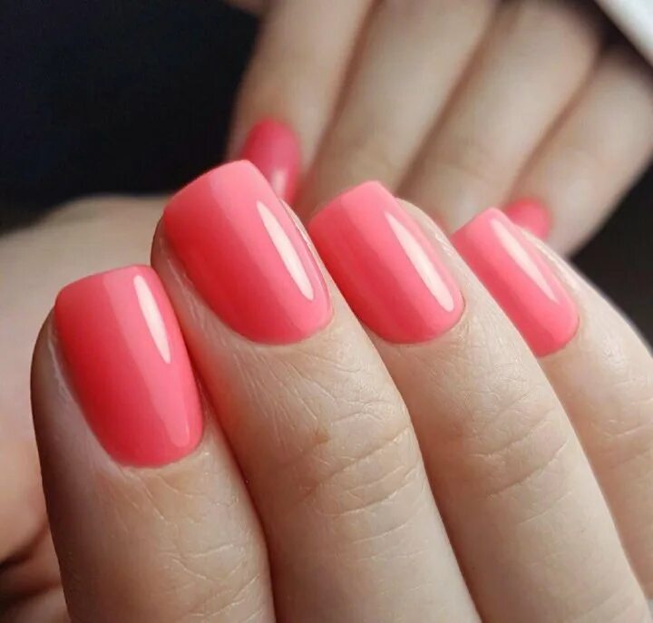 маникюр однотонное покрытие. фото ногтей гель однотонный. ногти в один тон. ногти классика однотонные. красные ногти.