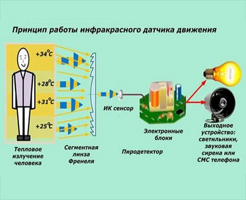 Принципы работы 03. Датчик движения принцип работы схема. ик датчик движения схема. датчик движения принцип действия и схема. как устроен датчик движения.