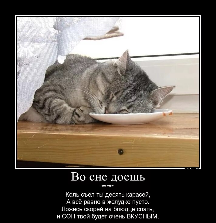 Усталость эстетика. Уставший мужчина. С юга домой возвратились грачи в речку. С юга домой возвратились. Сон вернулся домой.