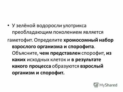 Гаметофит улотрикса это
