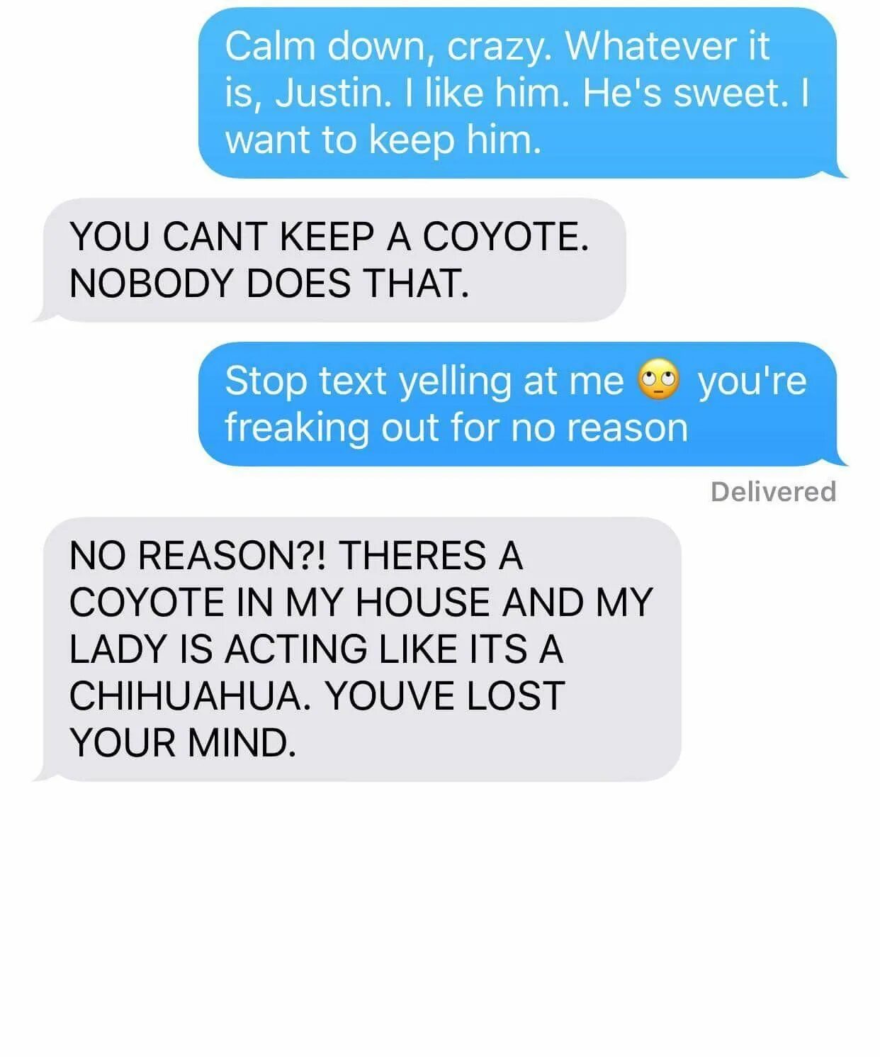 Wife text. Сockqueans wife text. Hotwife text. Прикол переписка нашла койота.