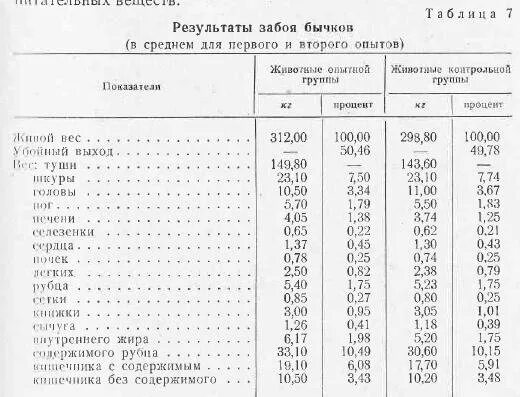 Сколько весит бычок в 1. Живой вес 1,5 годовалого бычка. Вес бычка в 8 месяцев. Средний вес бычка на убой.