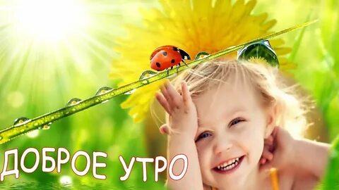 Картинки с добрым утром детские весенние