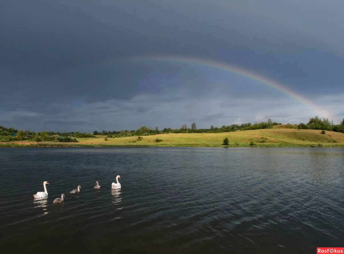 где живет радуга
