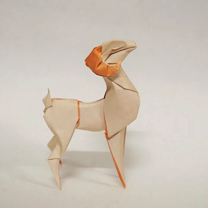 Оригами картинки. Самое красивое оригами в мире. Оригами сложные. Мокрое складывание. Оригами.