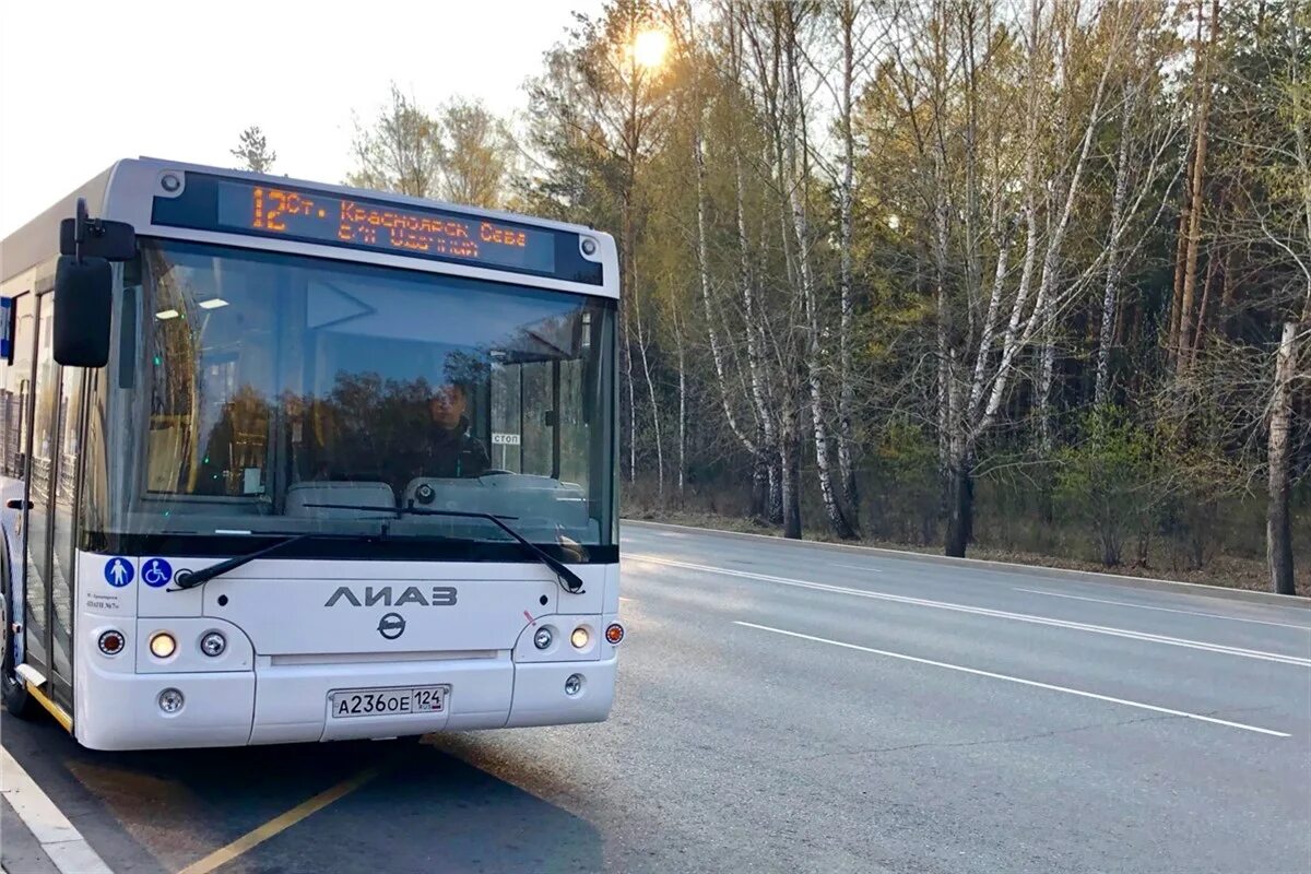 Маршрутные автобусы красноярск. Автобус ЛИАЗ Красноярск. Новый ЛИАЗ Красноярск. 12 Автобус ЛИАЗ Красноярск. Автобус ЛИАЗ Красноярск 2020.