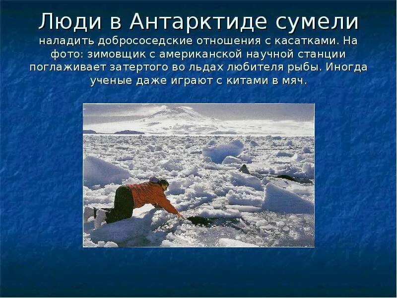 Проблемы в зоне арктических пустынь 4 класс