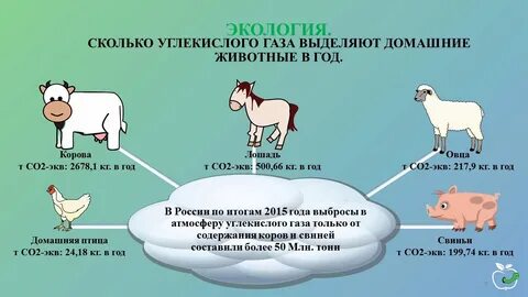 Сколько будет 2 коровы