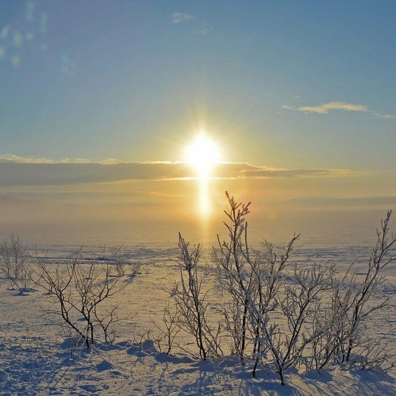 Красота природы зимой. Солнечная зима. Оранжевый свет. Зимний рассвет. Холодный зимний день.