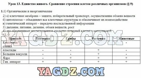 Строение клеток организмов разных царств таблица