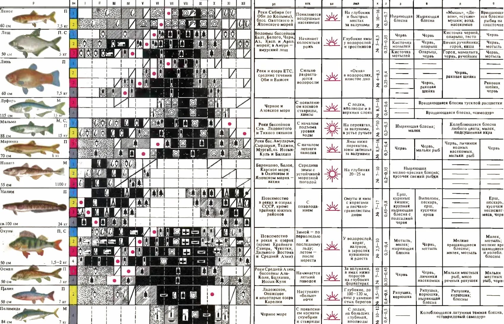 календарь рыбы 2024