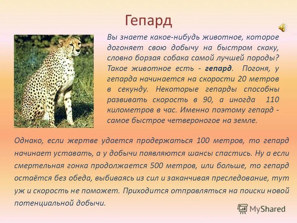 Описание какого нибудь животного. Рассказ об тамошних животных. Рассказ про льва. Рассказ про лису. Доклад про львов.