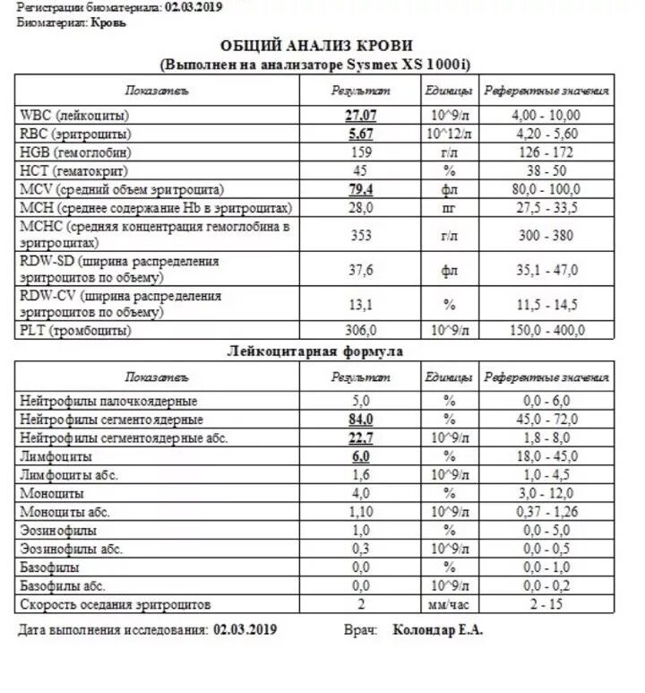 Анализы лейкоциты норма. Анализы лейкоциты норма. Анализы лейкоциты норма. Анализы лейкоциты норма. Показатели лейкоцитов в моче норма.