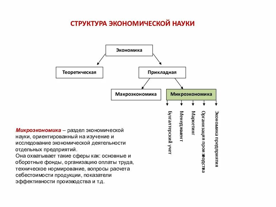 Структура экономической науки. Структура экономики. Структура экономики как науки. Структура макроэкономики как науки.