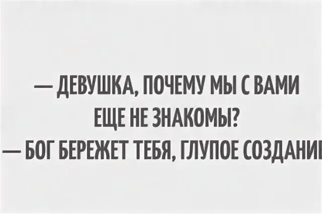 Глупое создание это