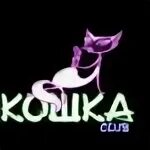 Club org