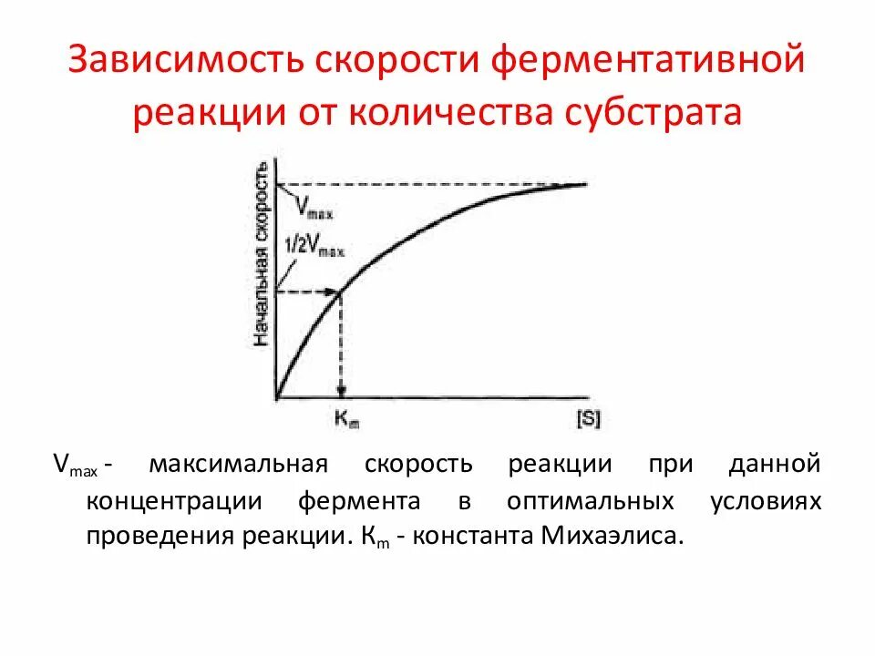 Зависимость ферментов от концентрации субстрата. Зависимость активности ферментов от концентрации фермента. График скорости ферментативной реакции от концентрации субстрата. Зависимость активности ферментов от концентрации субстрата. Зависимость скорости реакции от концентрации субстрата.