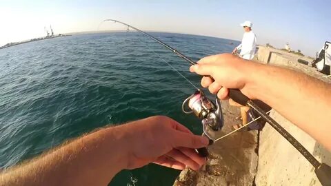 Снасти ловли с берега черного моря