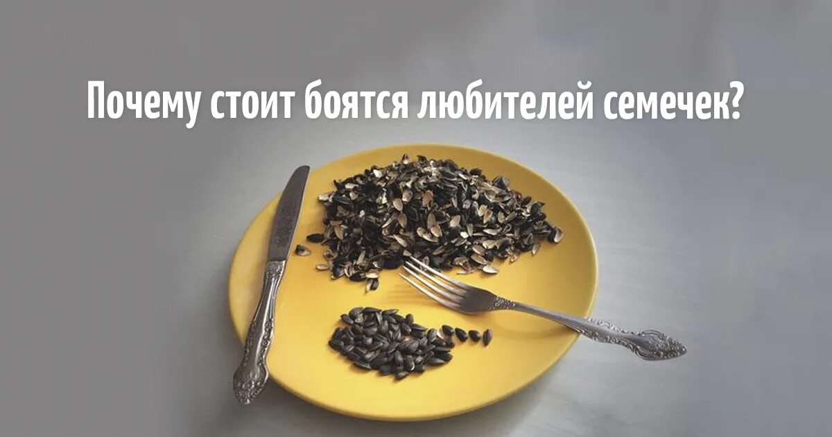 Почему хочется семечек жареных. Любитель семечек. хочется семечек. хочется семечки причина. хочется жареных семечек.