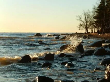 Село балтийский