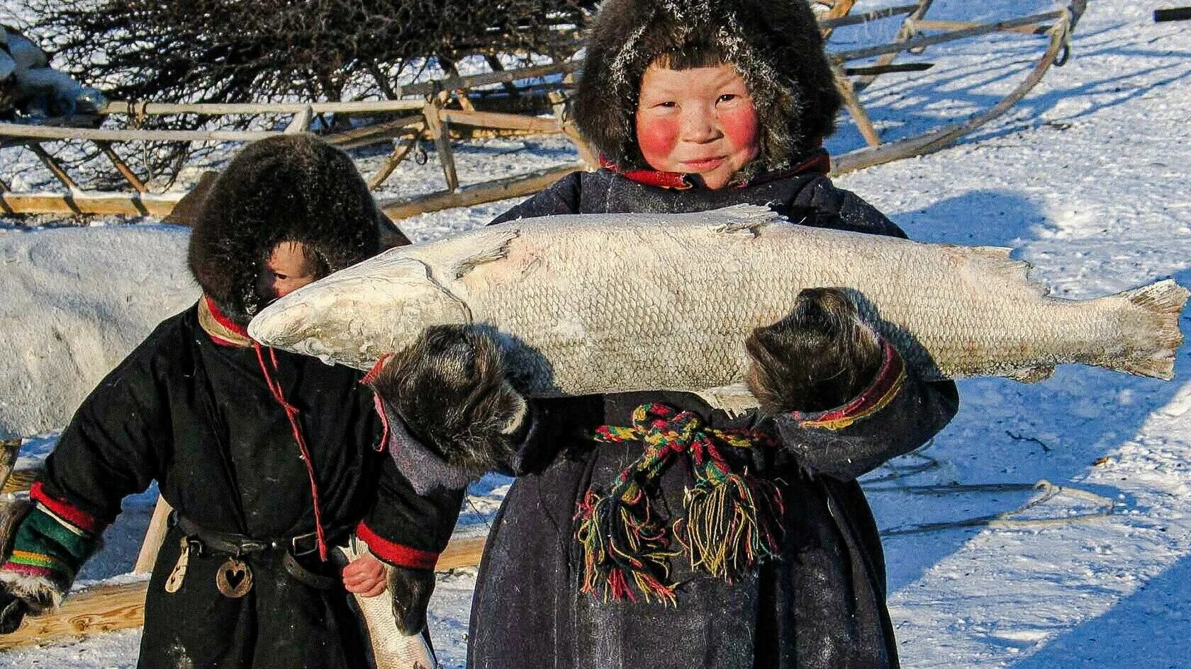 Промысел и округ. Ханты, манси, Коми, селькупы, ненцы. (Ненцы, Ханты, манси, селькупы. Ненцы Ханты манси. Ханты ненцы селькупы.