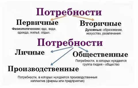 Определите соотношение первичных и вторичных