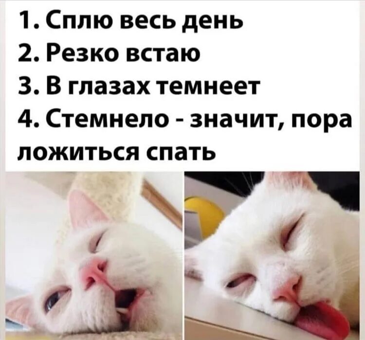 Когда резко просыпаешься что это. Спать весь день. сплю весь день резко встаю. я весь день сплю.