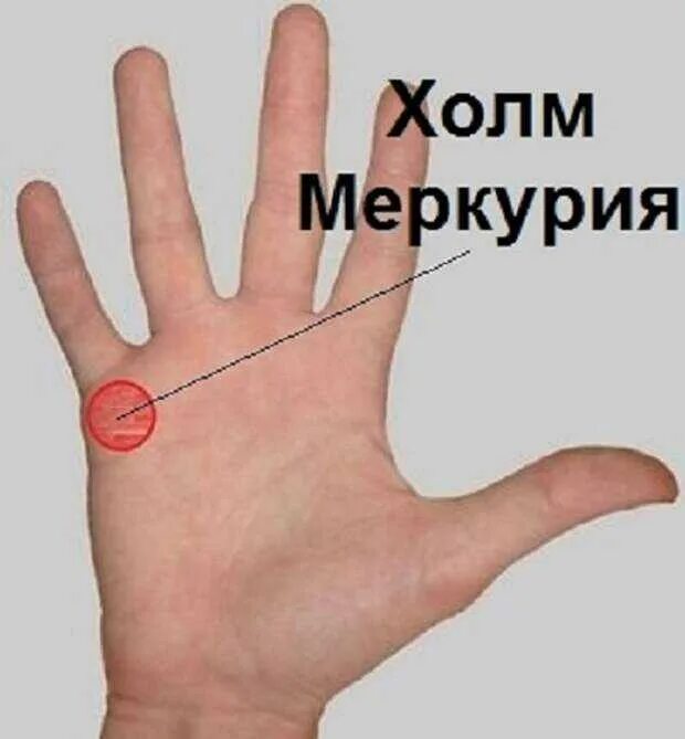 Холм аполлона хиромантия. Холм меркурия хиромантия. Холм меркурия на руке. Холм марса хиромантия. Линия сатурна и меркурия на ладони.