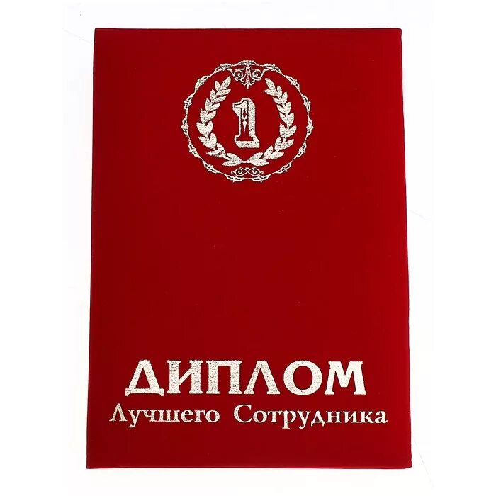 Диплом дучшегосотрудника. Диплом лучший. Грамота начальнику шуточная. Лучшая научная работа диплом. Диплом невестке.