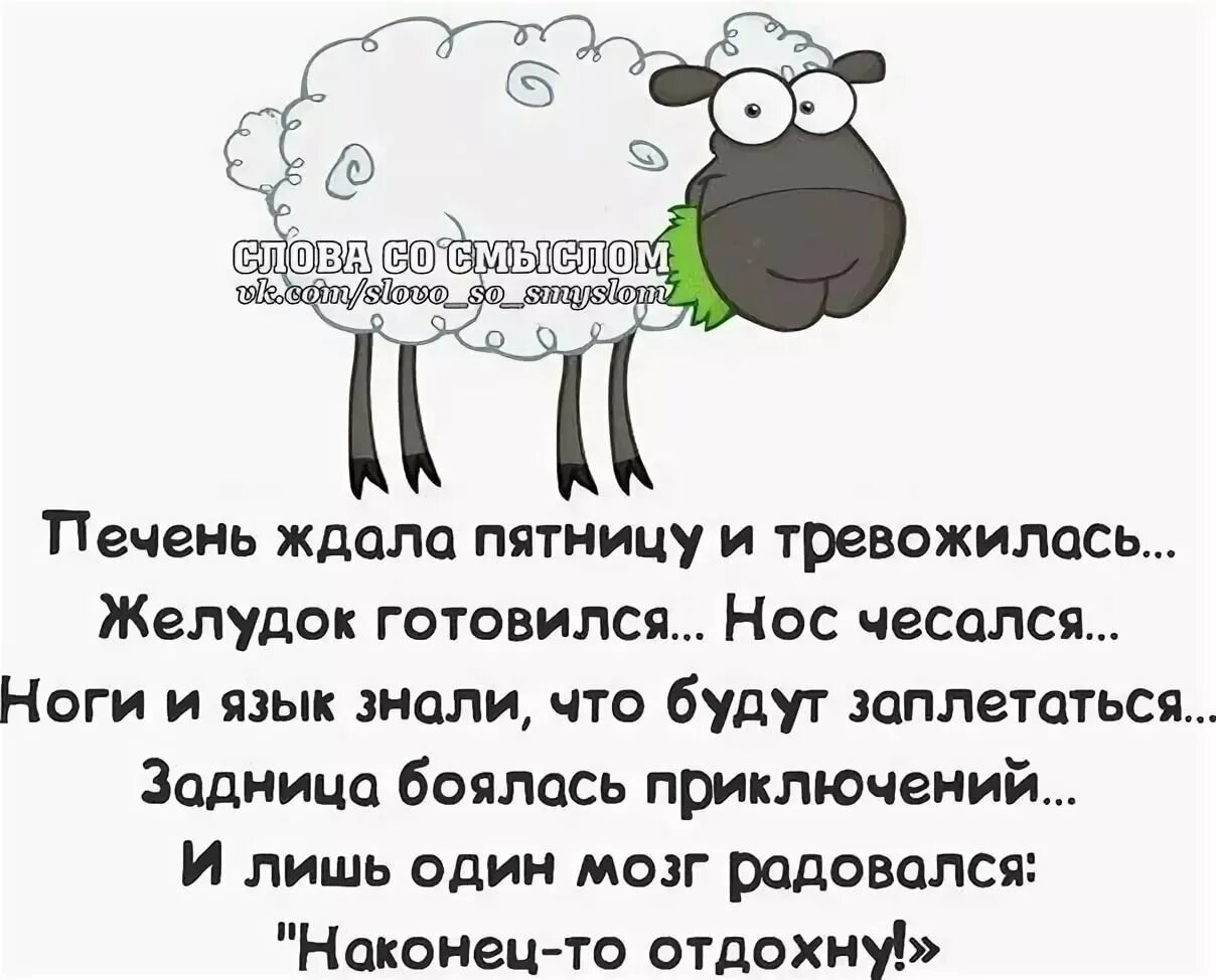 Ржачные приколы картинки со смыслом. Слова со смыслом. смешные афоризмы. слова со смыслом прикольные. высказывания смешные и прикольные.
