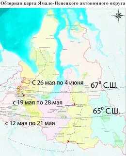 Гис еску янао
