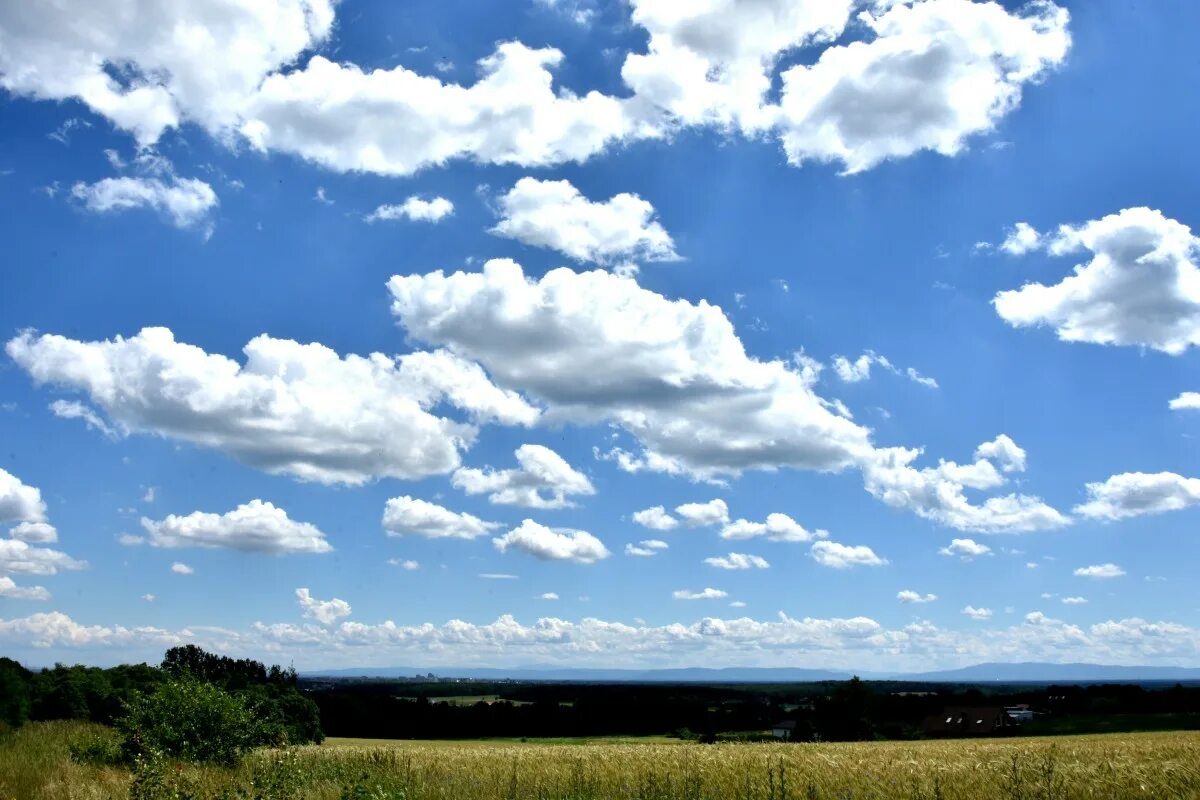 Песню небо голубое поле. Небо с облаками. Красивое небо. Красивые облака. Голубое небо с облаками.