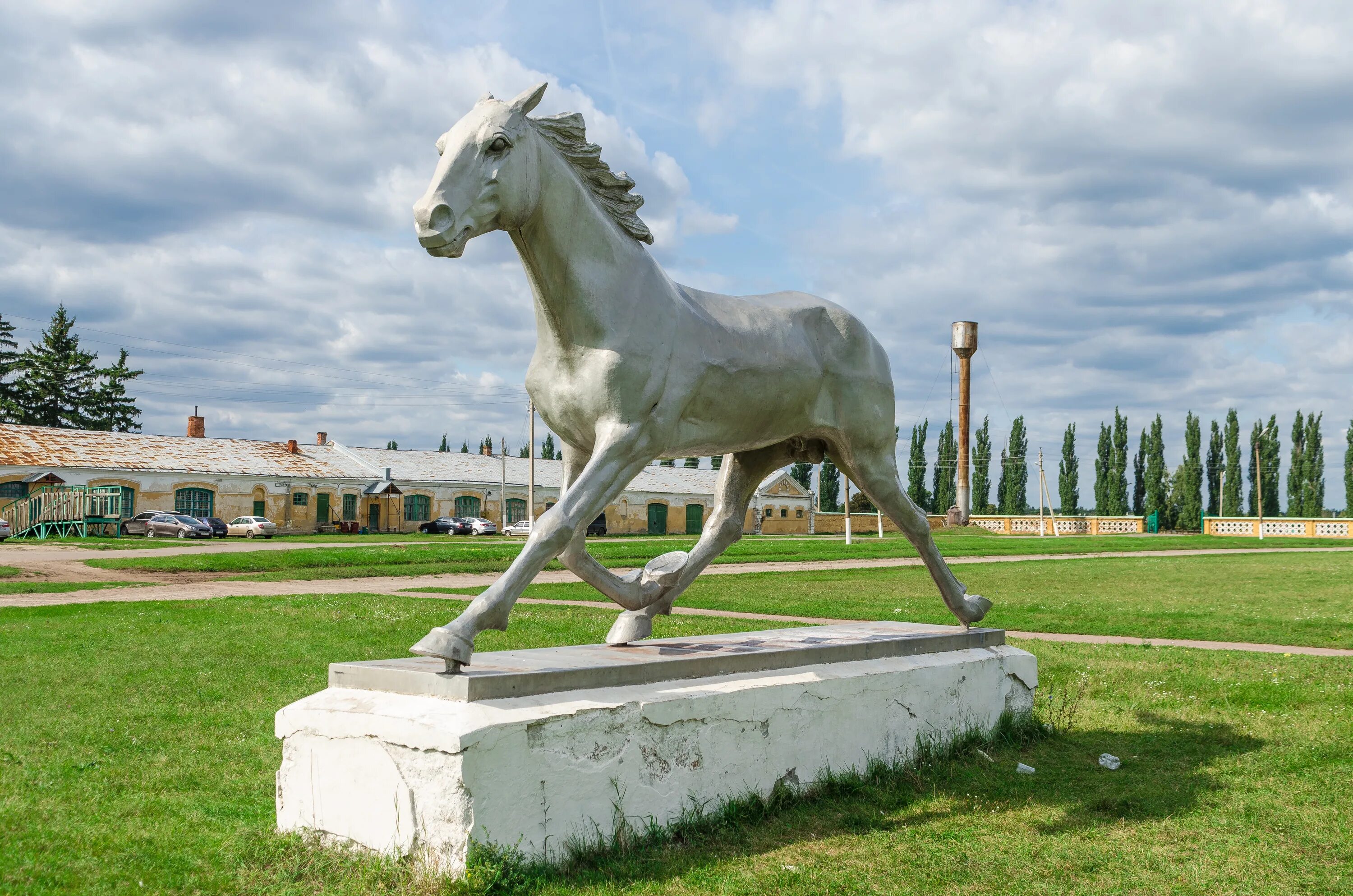 Село Хреновое Воронежской области конезавод. Хреновое Бобровский район конезавод. Хреновской конный завод. Хреновской конный завод Воронеж. Село хреновое бобровского