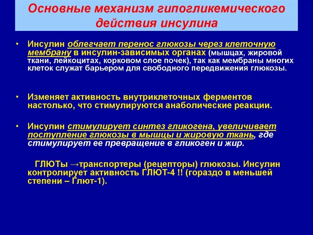 Выработка инсулина схема. Основное действие инсулина. Инсулин глюкоза и клетка схема. Влияние инсулина на организм человека. Механизм действия инсулина.