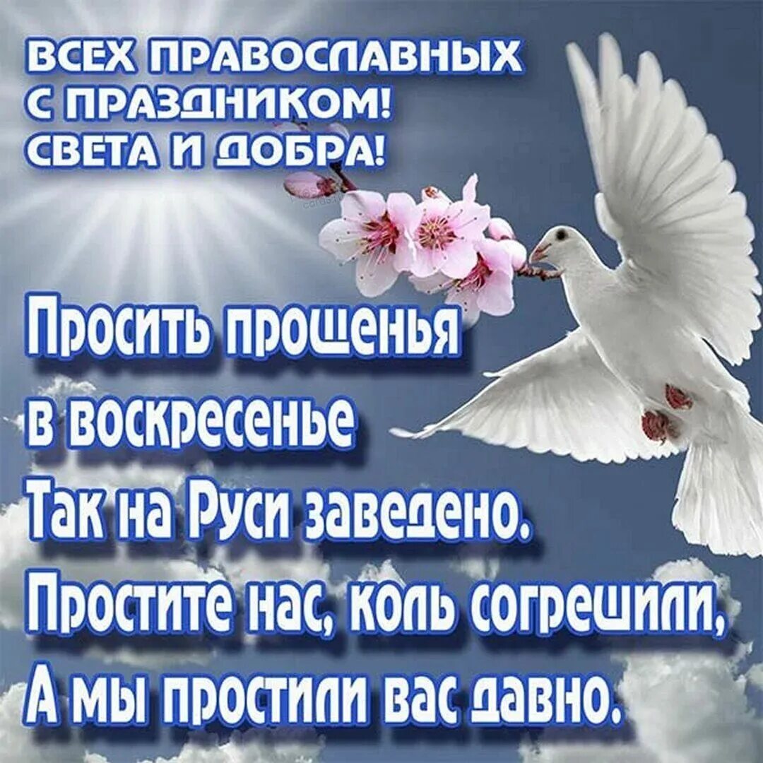 Четверостишие с прощенным воскресеньем. Поздравления с прощённым восгресеньем. прощенное воскресенье поздравления. с прощенным воскресеньем. пожелания с прощенным воскресеньем.
