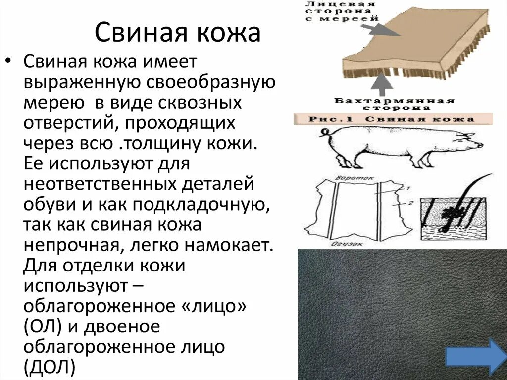 Свиная кожа. Как отличить свиную кожу. Свиная и Телячья кожа. Структура свиной кожи. Как отличить свиной