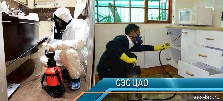 Вызов сэс. Санэпидемстанция. сэс санэпидемстанция. санэпидемстанция распылитель. санэпидемстанция борисоглебск.