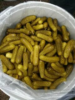 Мало соленый