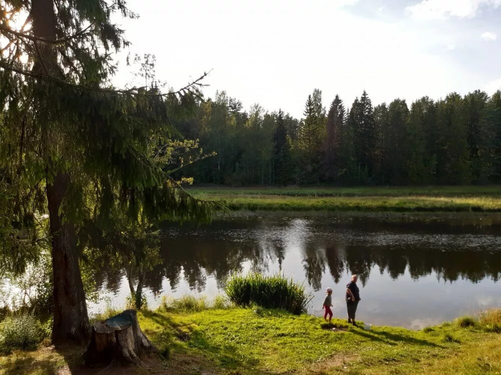 Вырица михайловский лес. Вырица ленинградская река рыбалка. Храм в вырице ленинградская. Достопримечательности поселка вырица. Храм петра и павла поселок вырица.