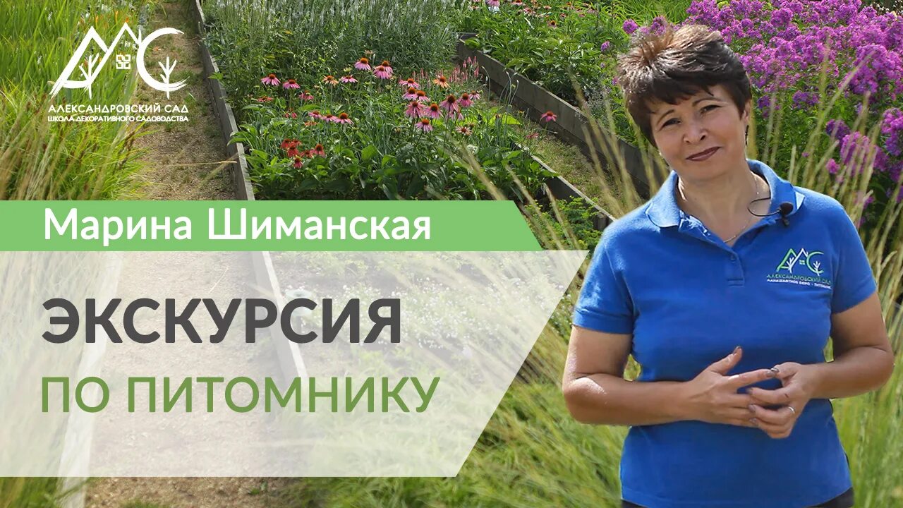 Цветы подмосковья питомник. Александровск растительность. Александровский питомник в ростове. Александровский сад питомник. Сад марины шиманской под питером.