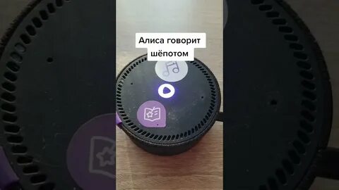 Алиса громче