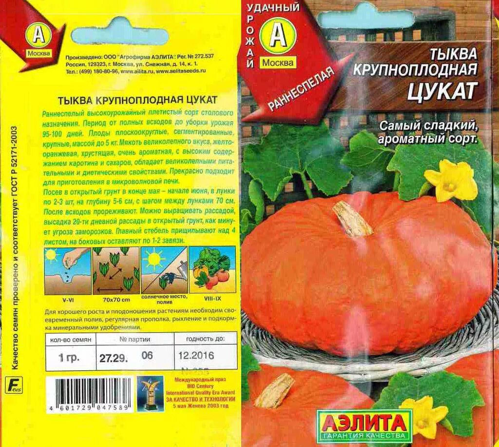Лучшие сорта тыквы для открытого