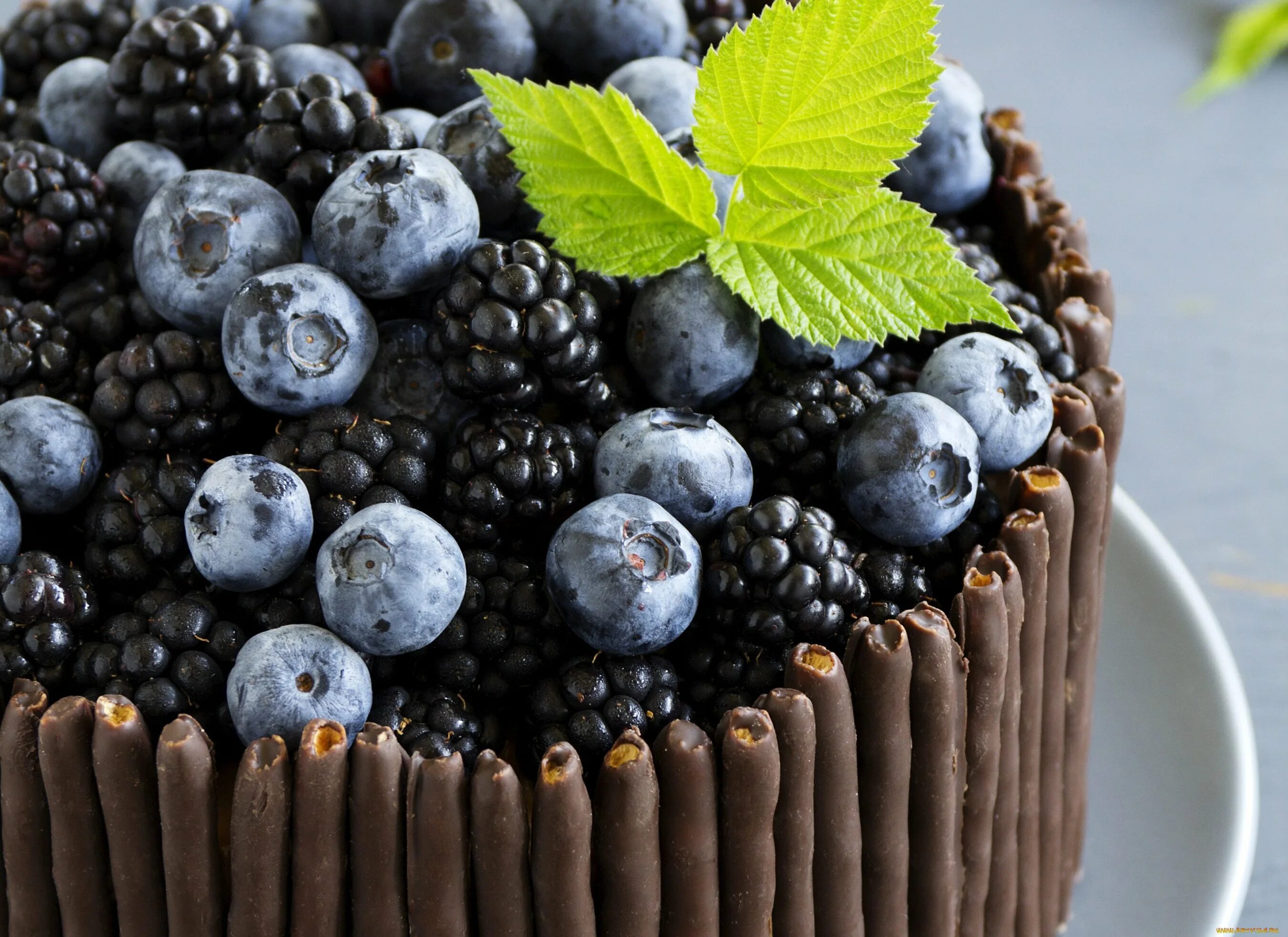 Шоколадный торт энди шеф. Украшение торта голубикой и шоколадом. Торт голубика шоколад. Энди шеф шоколадный торт на раз два три. Декор торта голубикой.